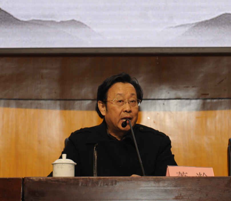 萧瀚会长做学术报告
