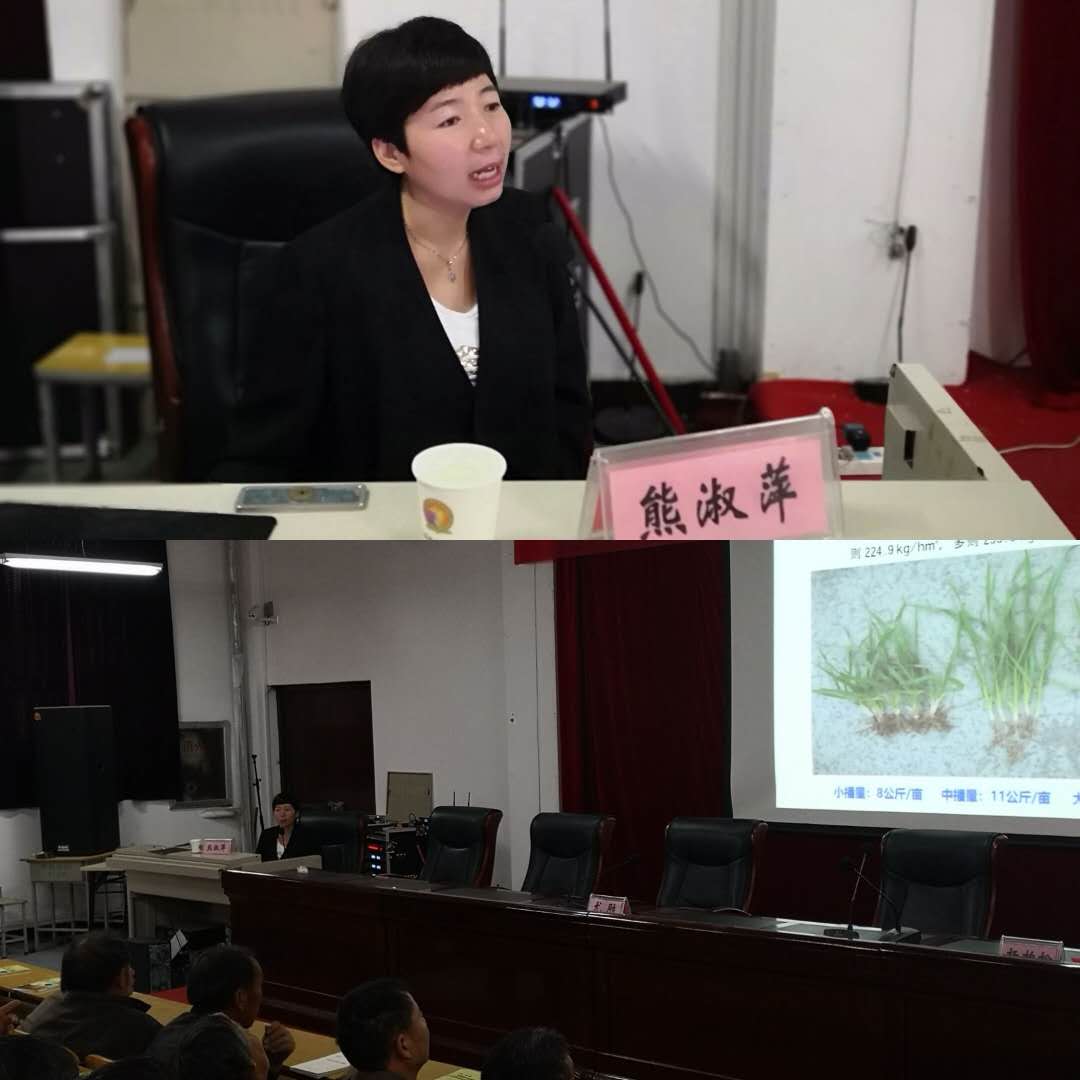 培训会现场