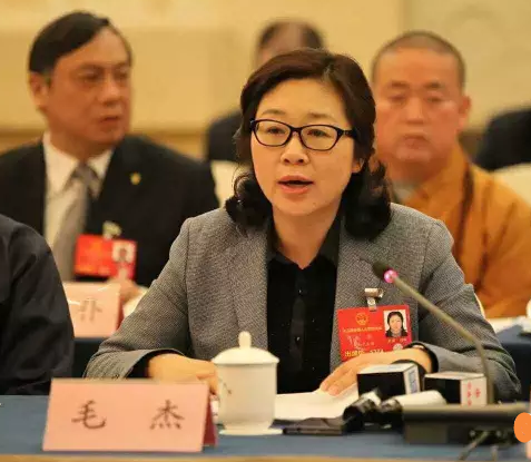 全国人大代表、中州大学校长毛杰在人大代表团体会议上发言