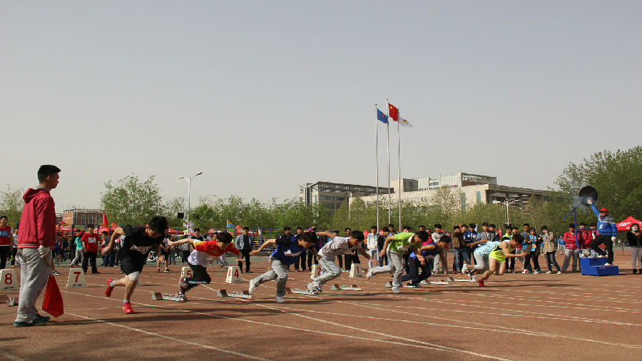 男子800米决赛